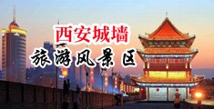 操操小骚逼中国陕西-西安城墙旅游风景区